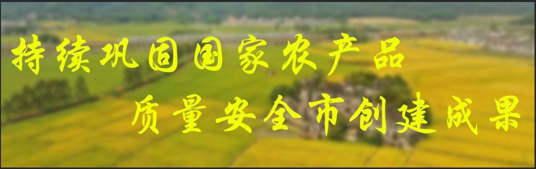 持續鞏固國家農產品質量安全市創建成果